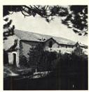 fig.23- Ferdinandea.